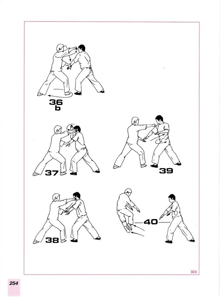 Kung -Fu Méthode secrète de lutte chinoise - France