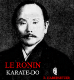 Le Ronin